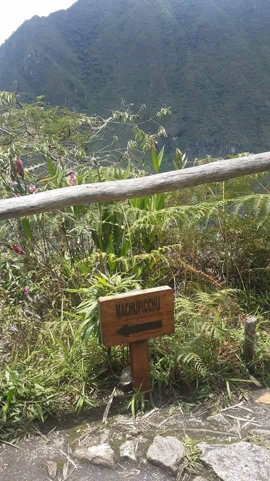 Subiendo el Huayna Picchu