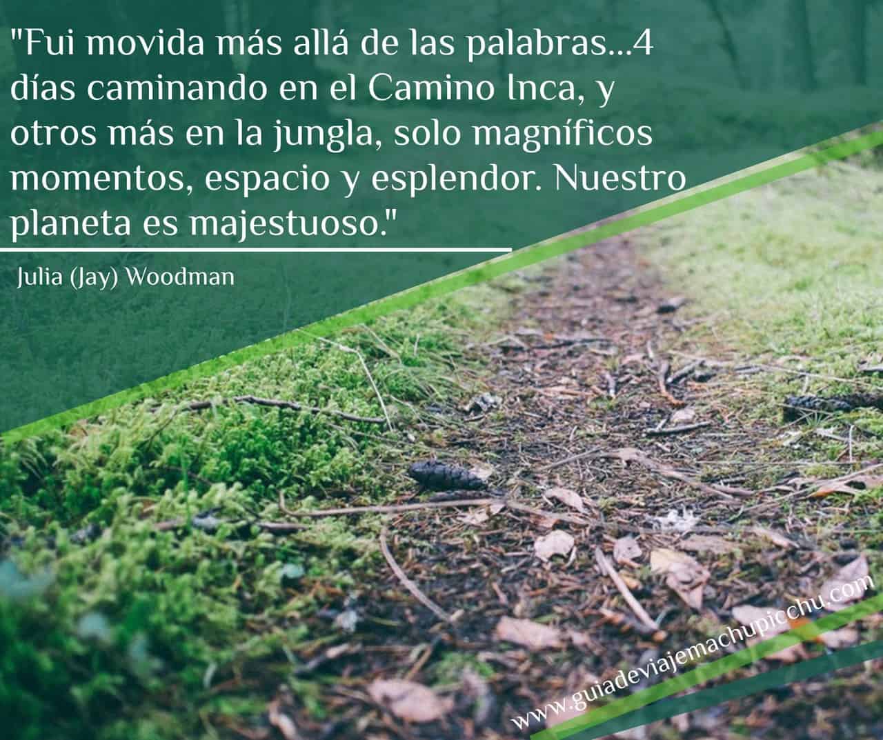 Frase sobre Machu Picchu.