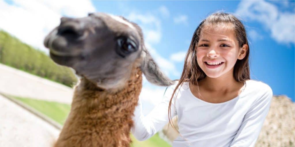 Viajar a Machu Picchu con niños